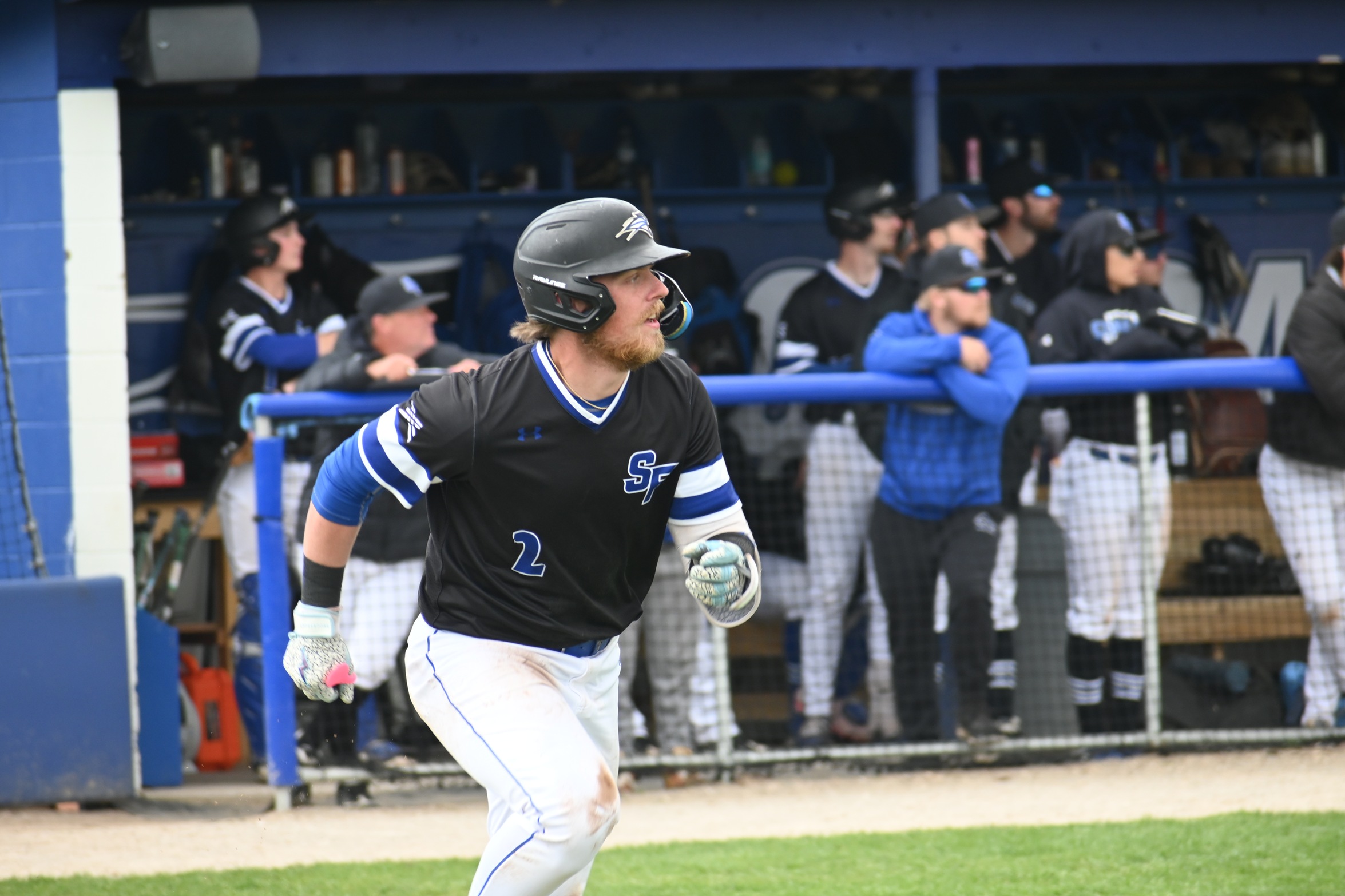 Saint Francis Drops Doubleheader with Spring Arbor