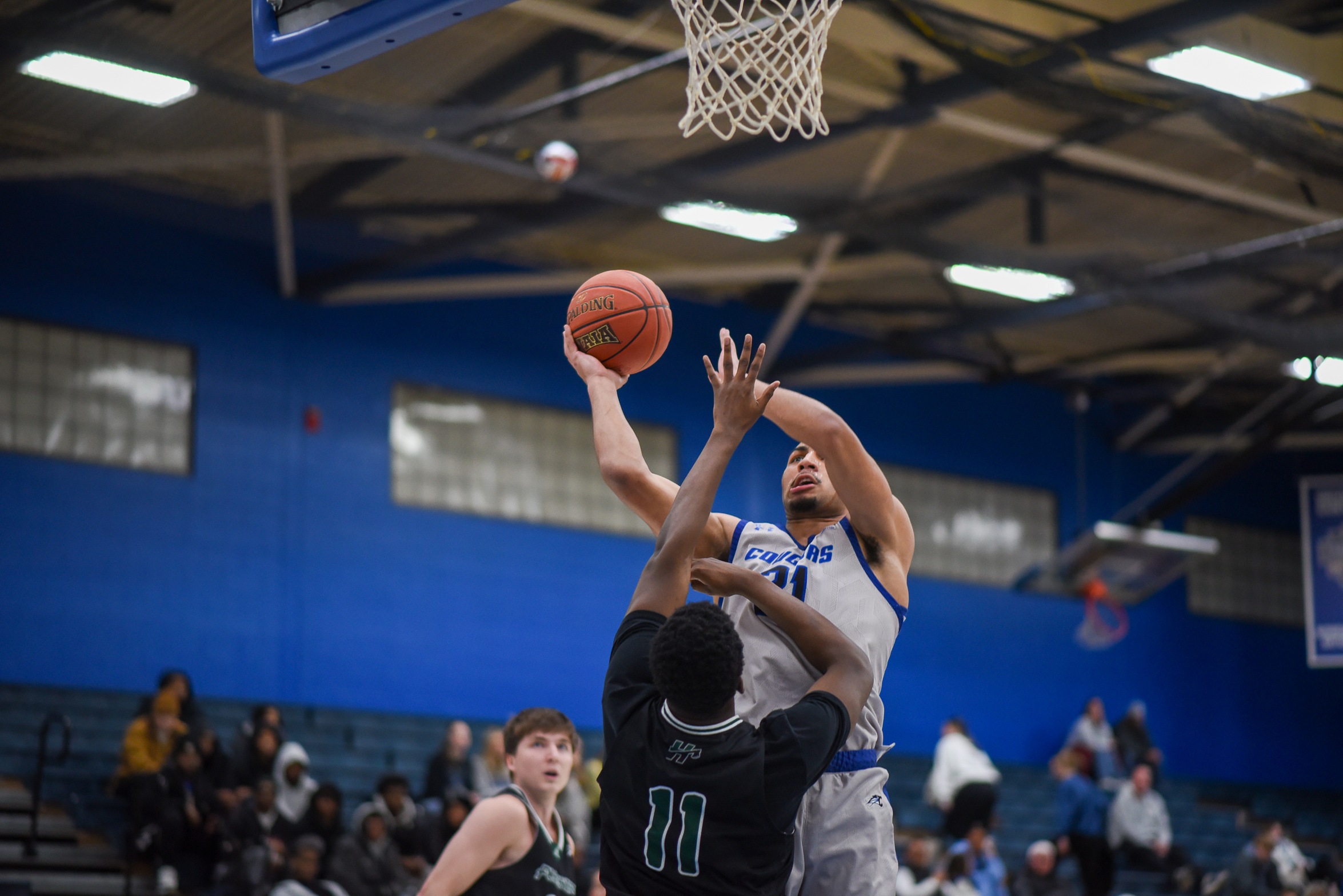 Photos Courtesy of: Dylan Coldsmith