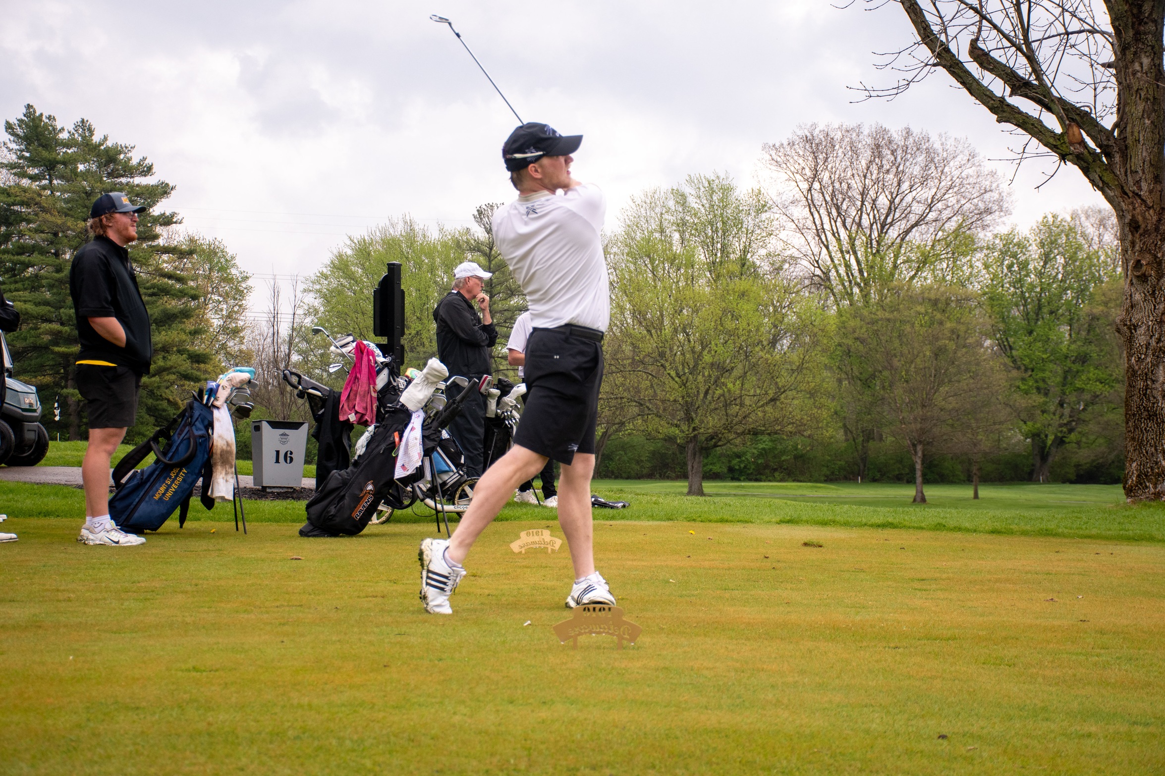 Photos Courtesy of Anderson University Athletics