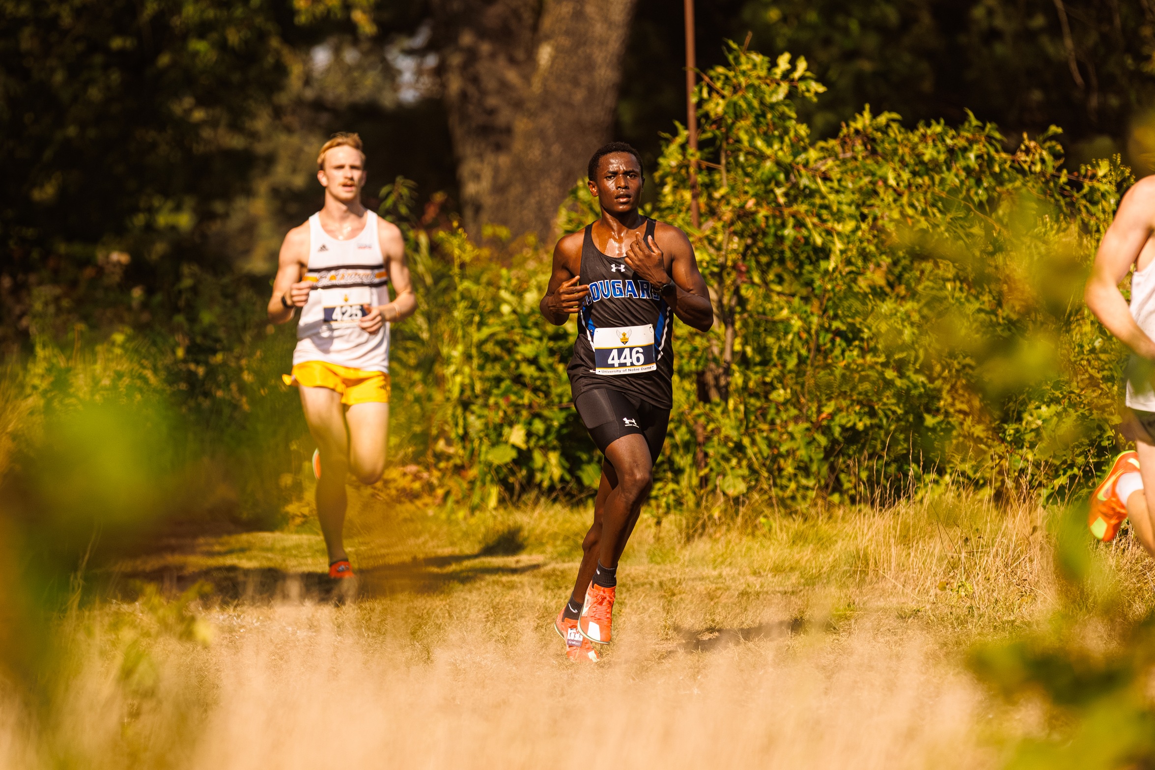 Langat&nbsp;and Strydom&nbsp;Lead Saint Francis at Live at Louisville