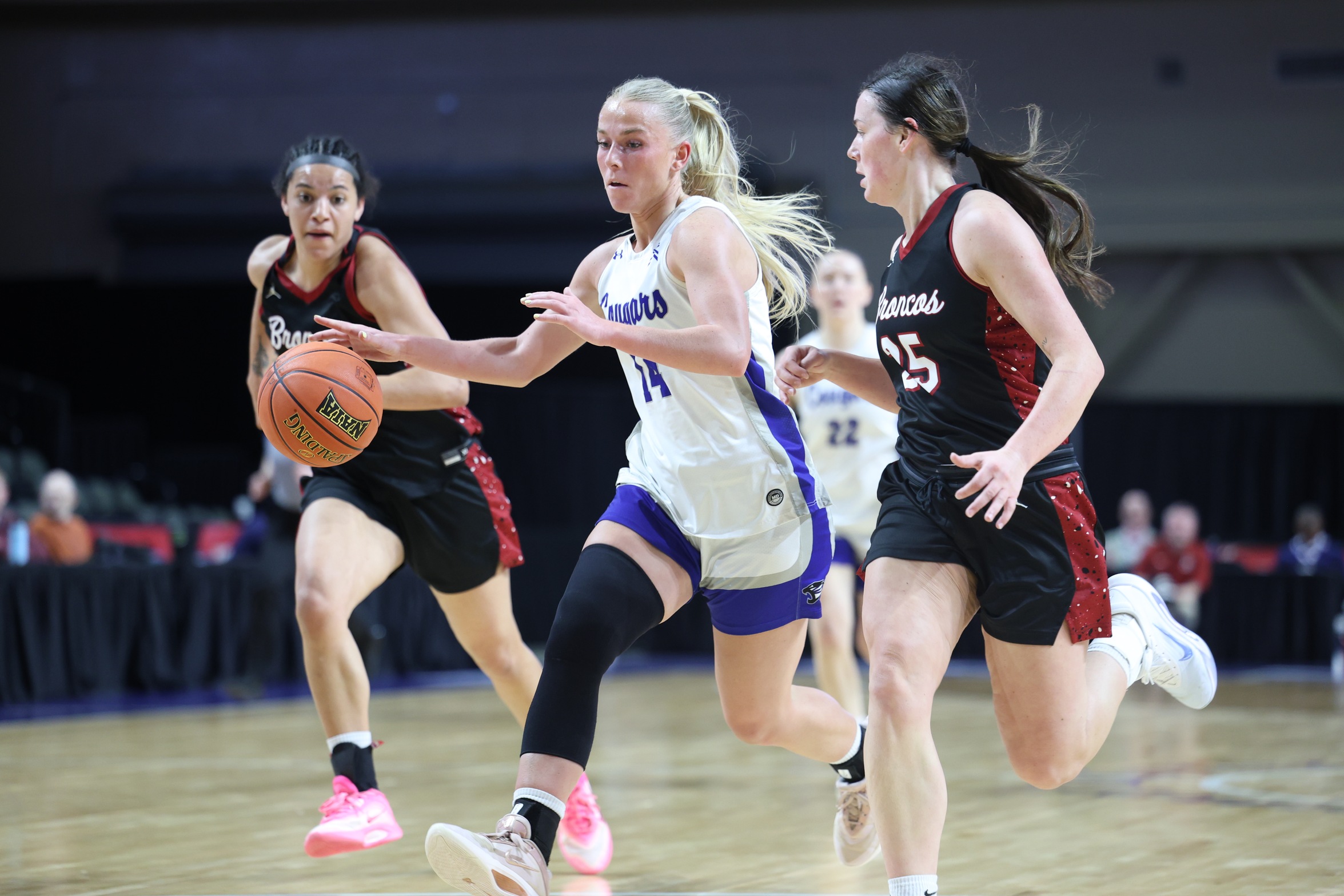 Saint Francis Advances to NAIA Quarterfinals With 67-60 Win Over Hastings